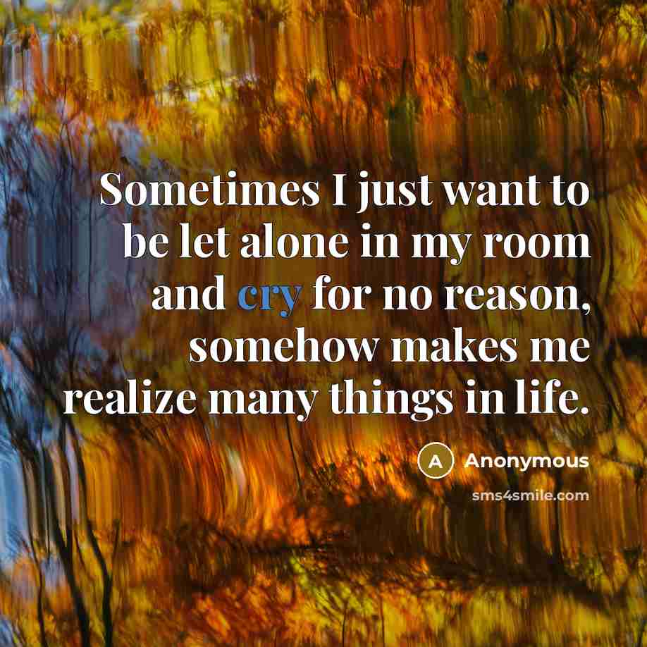 “Sometimes I just want to be let alone in my room and cry for no reason, somehow makes me realize many things in life.” quote by Anonymous