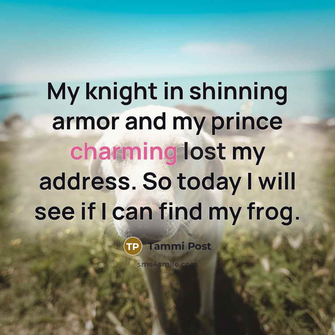 “My knight in shinning armor and my prince charming lost my address. So today I will see if I can find my frog.” quote by Tammi Post