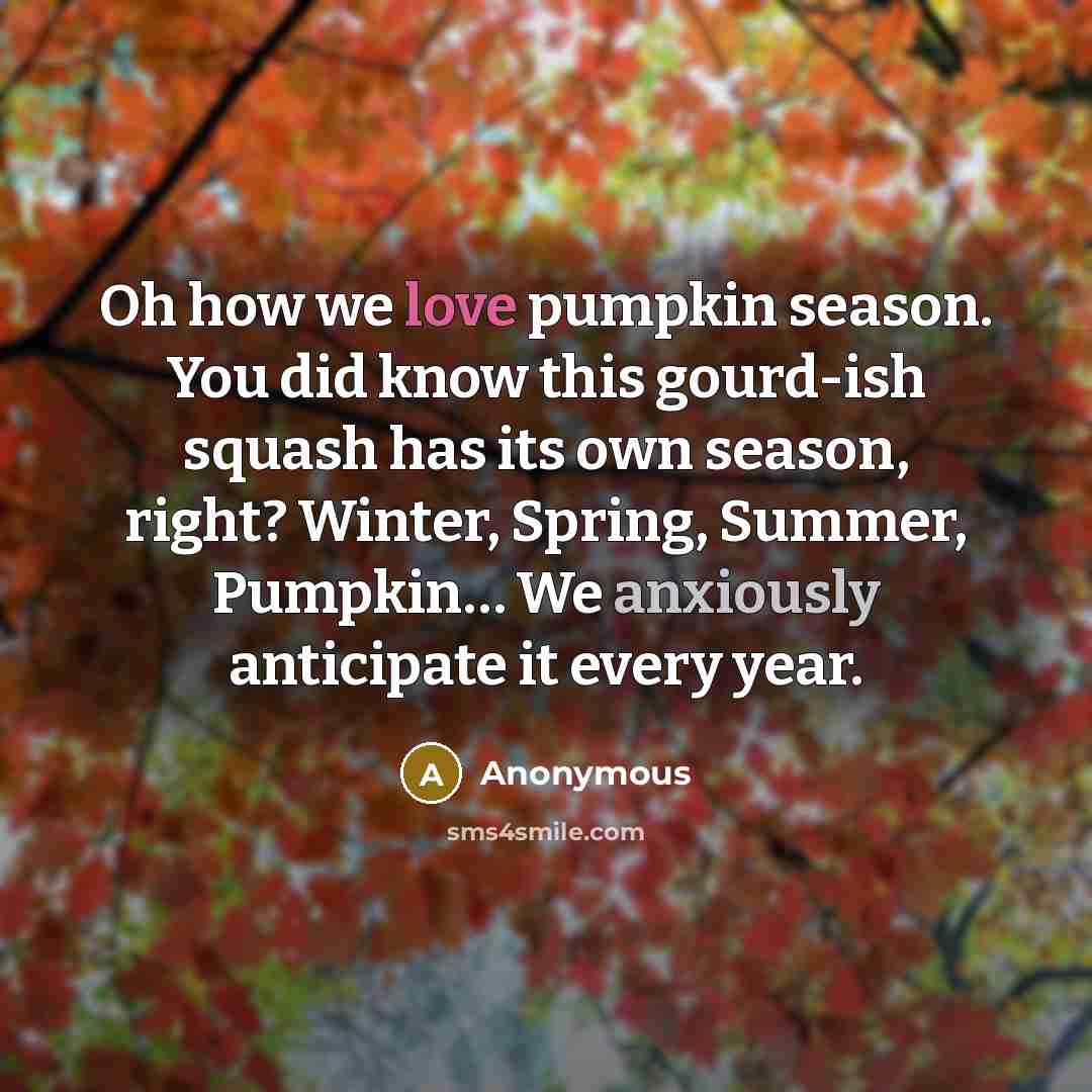 “Oh how we love pumpkin season. You did know this gourd-ish squash has its own season, right? Winter, Spring, Summer, Pumpkin… We anxiously anticipate it every year.” quote by Anonymous