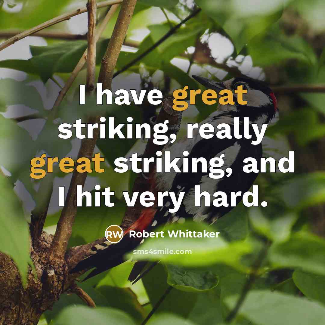 “I have great striking, really great striking, and I hit very hard.” quote by Robert Whittaker