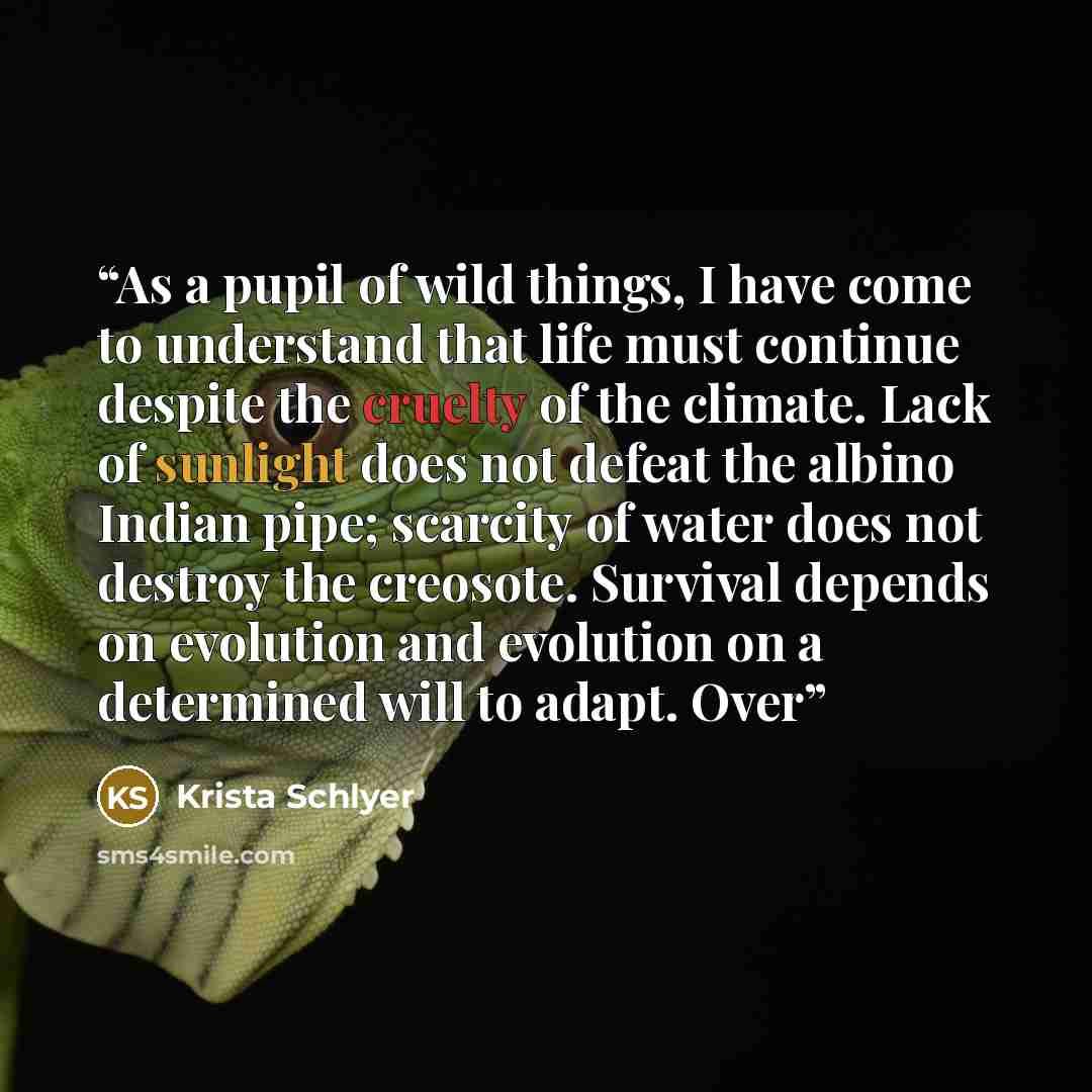 “As a pupil of wild things, I have come to understand that life must continue despite the cruelty of the climate. Lack of sunlight does not defeat the albino Indian pipe; scarcity of water does not destroy the creosote. Survival depends on evolution and evolution on a determined will to adapt. Over” quote by Krista Schlyer