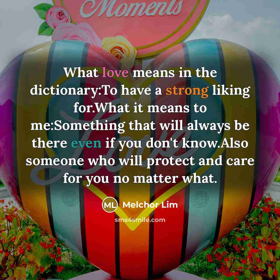 “What love means in the dictionary:To have a strong liking for.What it means to me:Something that will always be there even if you don't know.Also someone who will protect and care for you no matter what.” quote by Melchor Lim