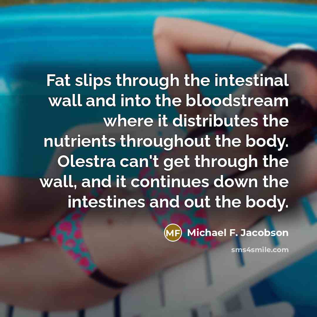 “Fat slips through the intestinal wall and into the bloodstream where it distributes the nutrients throughout the body. Olestra can't get through the wall, and it continues down the intestines and out the body.” quote by Michael F. Jacobson