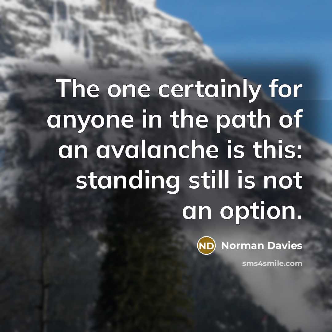 “The one certainly for anyone in the path of an avalanche is this: standing still is not an option.” quote by Norman Davies