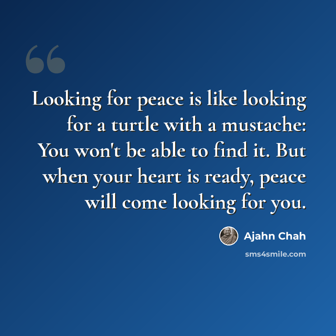 “Looking for peace is like looking for a turtle with a mustache: You won't be able to find it. But when your heart is ready, peace will come looking for you.” quote by Ajahn Chah