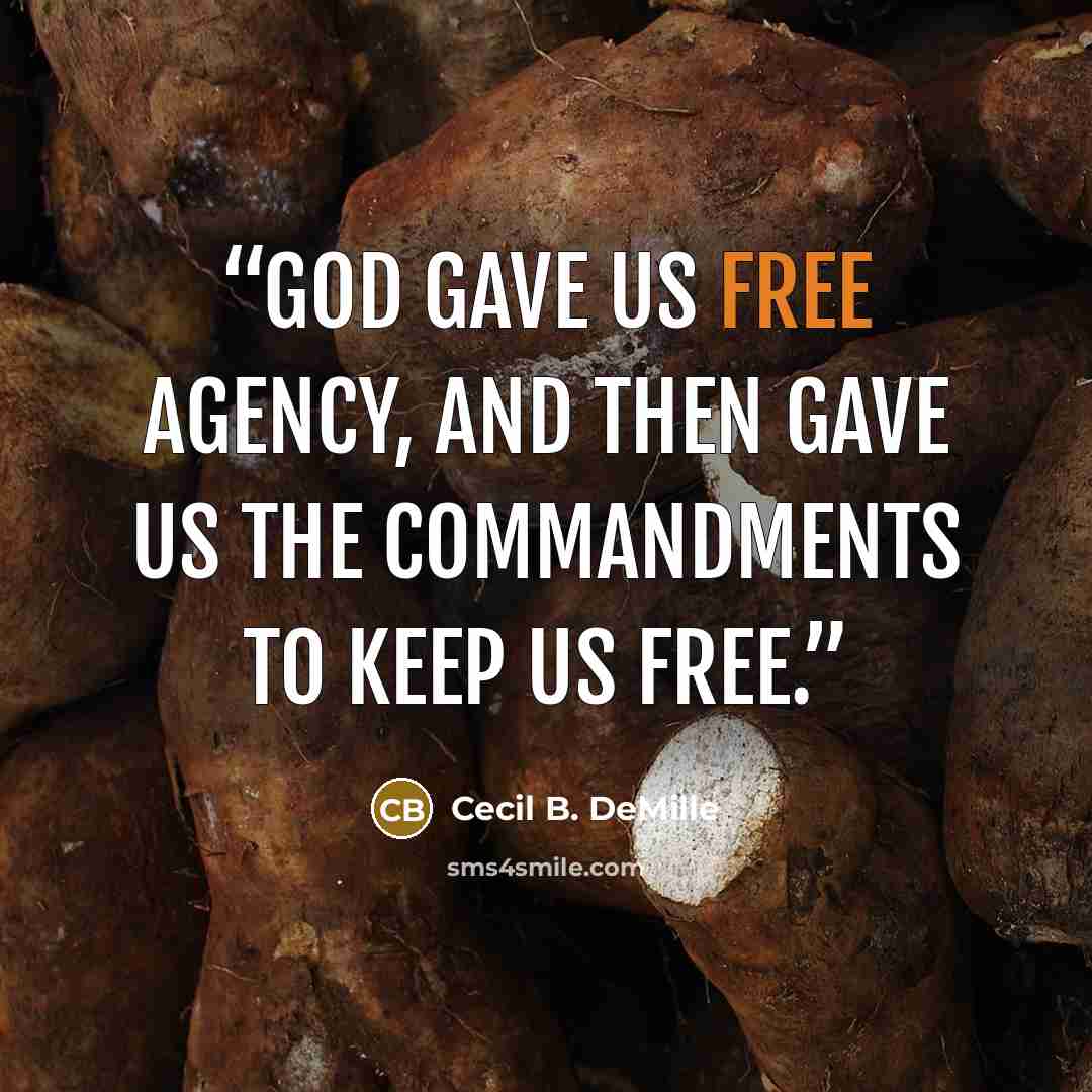 “God gave us free agency, and then gave us the commandments to keep us free.” quote by Cecil B. DeMille