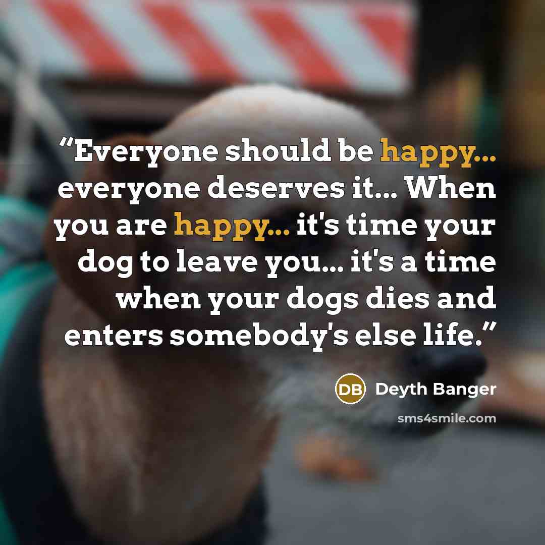 “Everyone should be happy... everyone deserves it... When you are happy... it's time your dog to leave you... it's a time when your dogs dies and enters somebody's else life.” quote by Deyth Banger