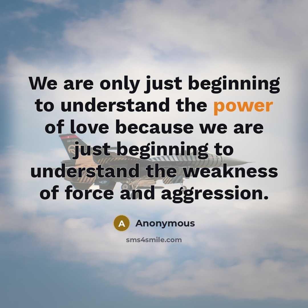 “We are only just beginning to understand the power of love because we are just beginning to understand the weakness of force and aggression.” quote by Anonymous
