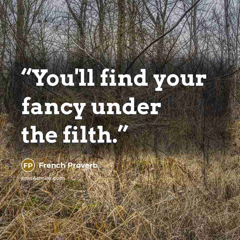 “You'll find your fancy under the filth.” quote by French proverb