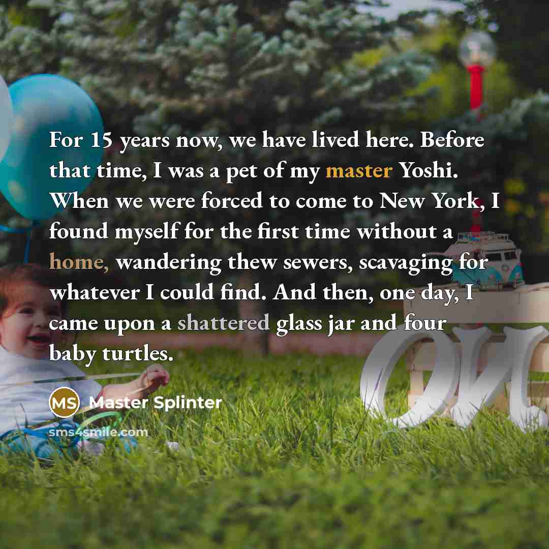 “For 15 years now, we have lived here. Before that time, I was a pet of my master Yoshi. When we were forced to come to New York, I found myself for the first time without a home, wandering thew sewers, scavaging for whatever I could find. And then, one day, I came upon a shattered glass jar and…” quote by Master Splinter