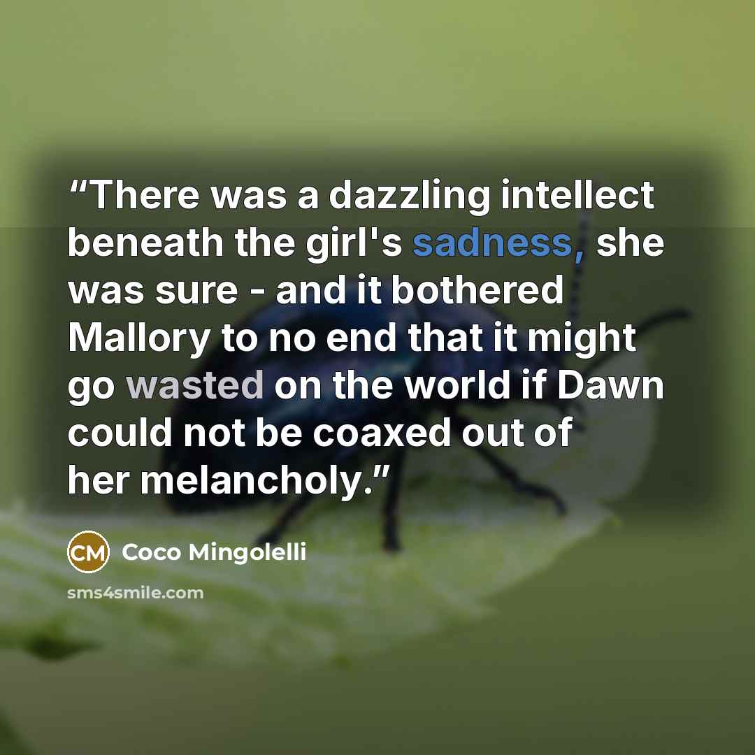 “There was a dazzling intellect beneath the girl's sadness, she was sure - and it bothered Mallory to no end that it might go wasted on the world if Dawn could not be coaxed out of her melancholy.” quote by Coco Mingolelli