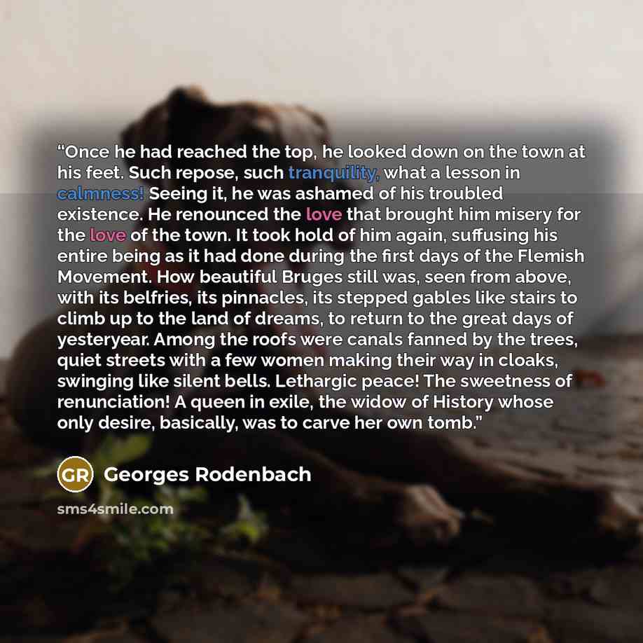 “Once he had reached the top, he looked down on the town at his feet. Such repose, such tranquility, what a lesson in calmness! Seeing it, he was ashamed of his troubled existence. He renounced the love that brought him misery for the love of the town. It took hold of him again, suffusing his…” quote by Georges Rodenbach