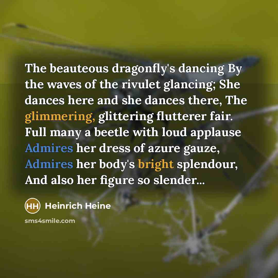 “The beauteous dragonfly's dancing By the waves of the rivulet glancing; She dances here and she dances there, The glimmering, glittering flutterer fair. Full many a beetle with loud applause Admires her dress of azure gauze, Admires her body's bright splendour, And also her figure so slender...” quote by Heinrich Heine