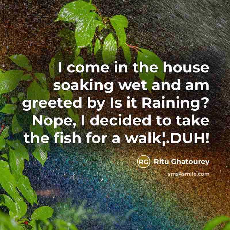 “I come in the house soaking wet and am greeted by Is it Raining? Nope, I decided to take the fish for a walk¦.DUH!” quote by Ritu Ghatourey