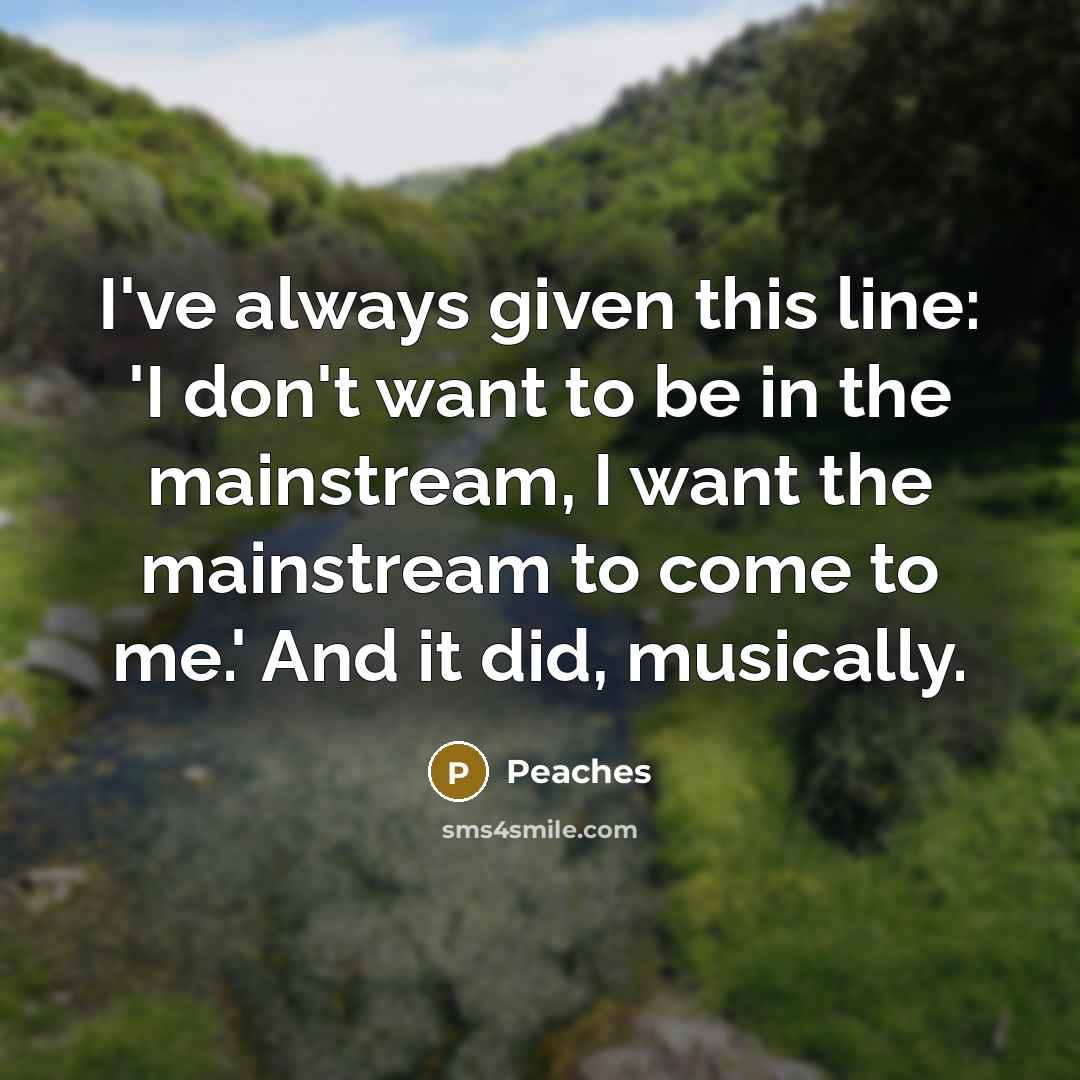 “I've always given this line: 'I don't want to be in the mainstream, I want the mainstream to come to me.' And it did, musically.” quote by Peaches