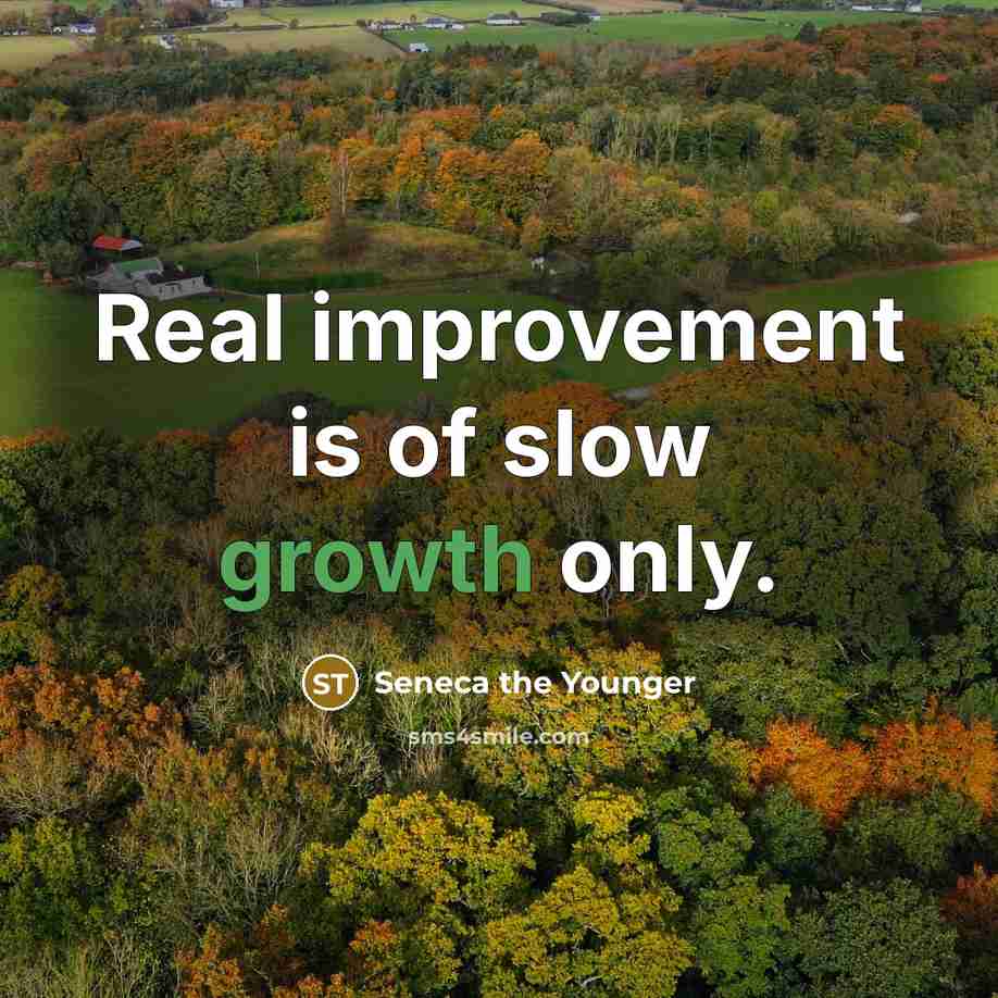 “Real improvement is of slow growth only.” quote by Seneca the Younger
