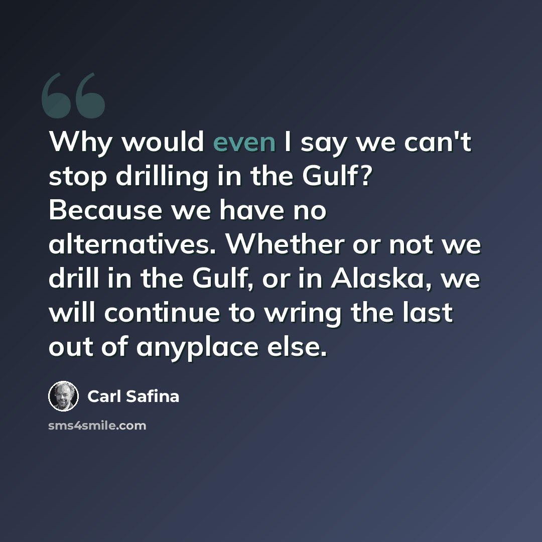 “Why would even I say we can't stop drilling in the Gulf? Because we have no alternatives. Whether or not we drill in the Gulf, or in Alaska, we will continue to wring the last out of anyplace else.” quote by Carl Safina