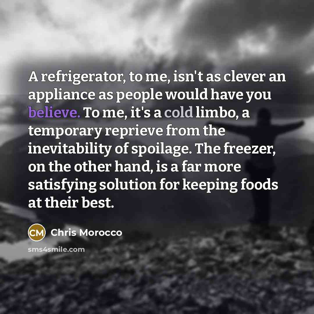 “A refrigerator, to me, isn't as clever an appliance as people would have you believe. To me, it's a cold limbo, a temporary reprieve from the inevitability of spoilage. The freezer, on the other hand, is a far more satisfying solution for keeping foods at their best.” quote by Chris Morocco