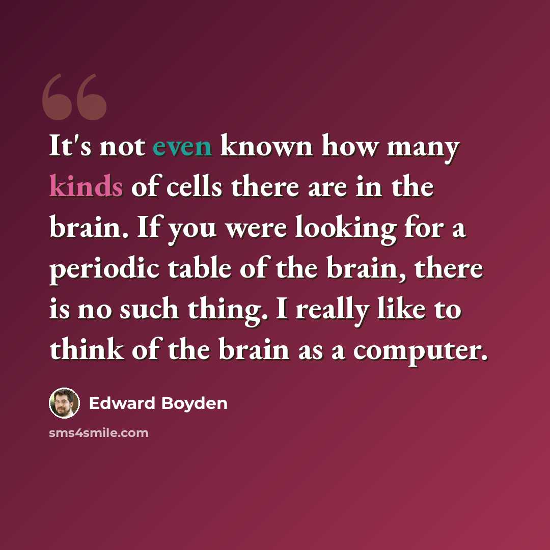 “It's not even known how many kinds of cells there are in the brain. If you were looking for a periodic table of the brain, there is no such thing. I really like to think of the brain as a computer.” quote by Edward Boyden