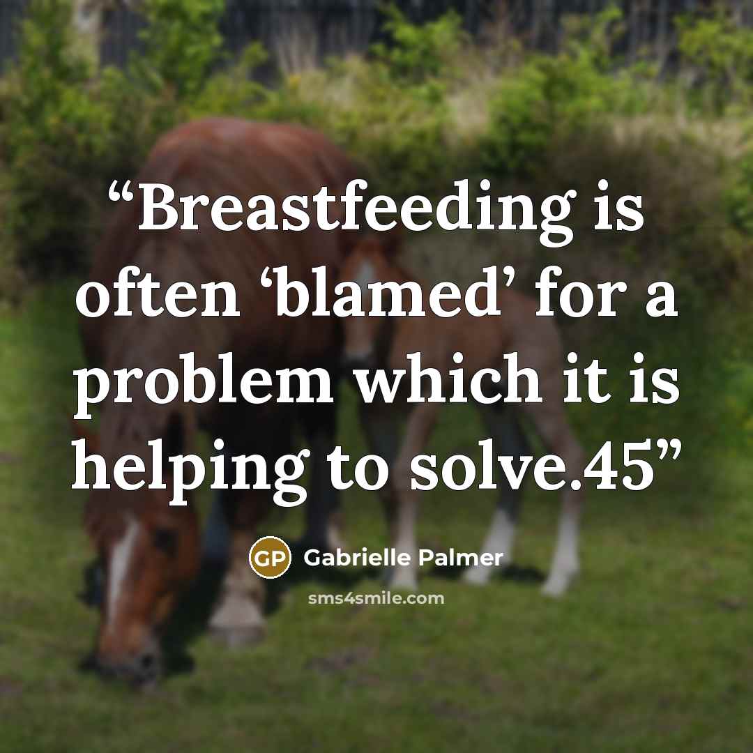 “Breastfeeding is often ‘blamed’ for a problem which it is helping to solve.45” quote by Gabrielle Palmer