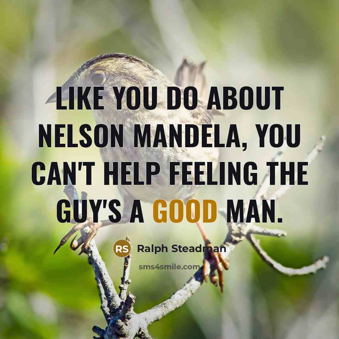 “Like you do about Nelson Mandela, you can't help feeling the guy's a good man.” quote by Ralph Steadman