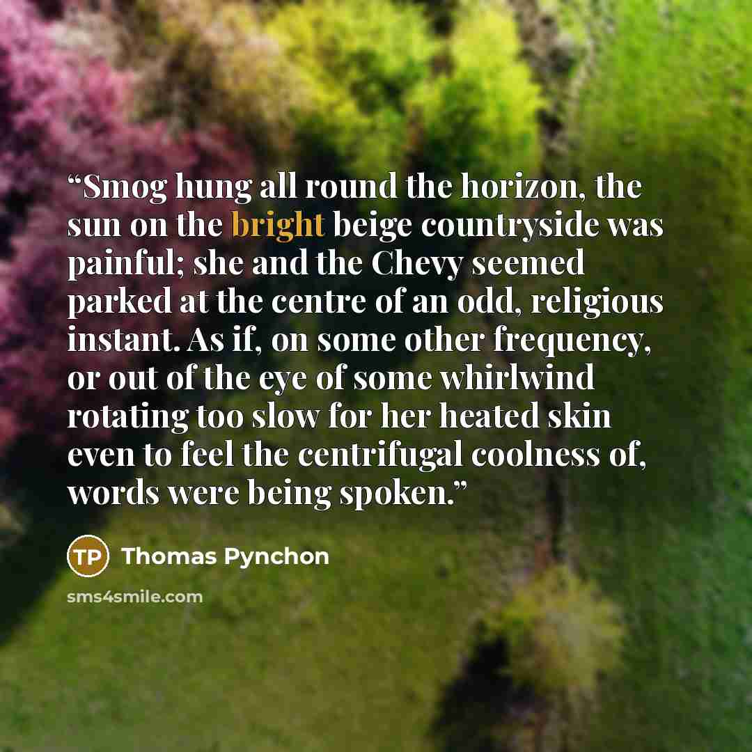 “Smog hung all round the horizon, the sun on the bright beige countryside was painful; she and the Chevy seemed parked at the centre of an odd, religious instant. As if, on some other frequency, or out of the eye of some whirlwind rotating too slow for her heated skin even to feel the centrifugal…” quote by Thomas Pynchon