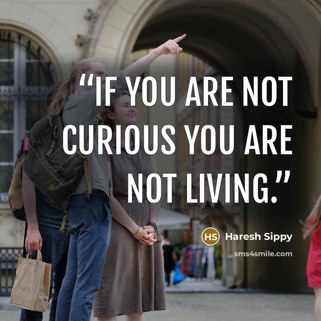 “If you are not curious you are not living.” quote by Haresh Sippy