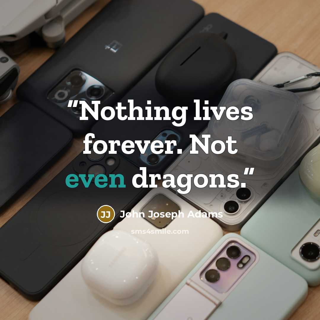 “Nothing lives forever. Not even dragons.” quote by John Joseph Adams