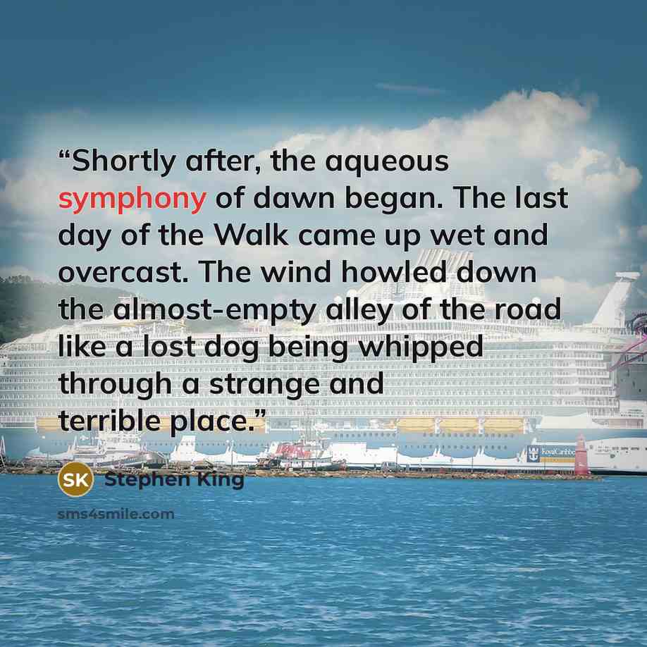 “Shortly after, the aqueous symphony of dawn began. The last day of the Walk came up wet and overcast. The wind howled down the almost-empty alley of the road like a lost dog being whipped through a strange and terrible place.” quote by Stephen King