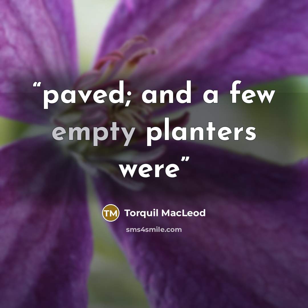 “paved; and a few empty planters were” quote by Torquil MacLeod