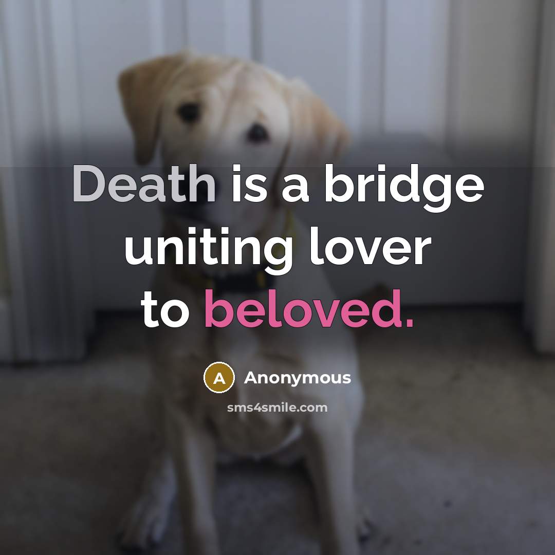 “Death is a bridge uniting lover to beloved.” quote by Anonymous
