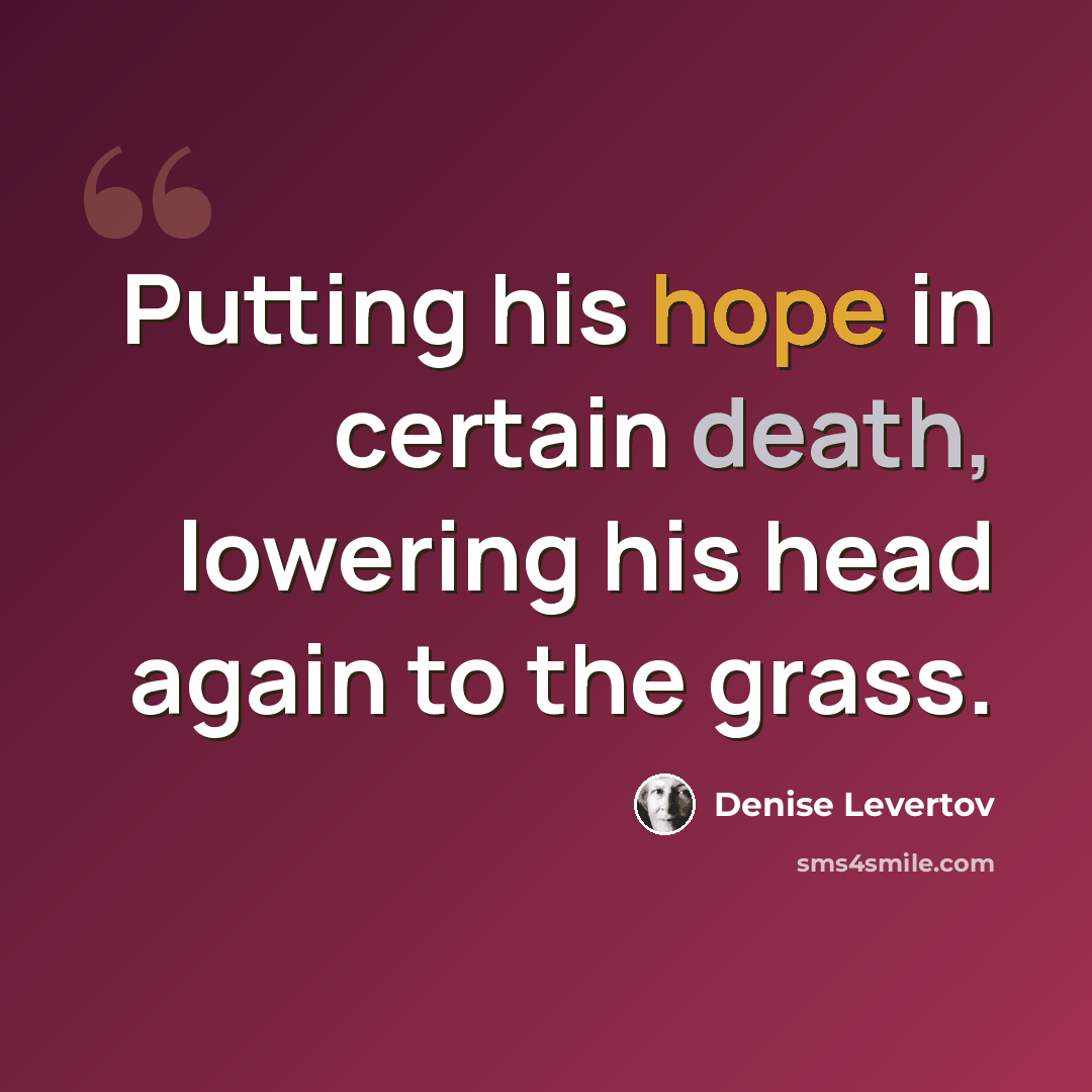 “Putting his hope in certain death, lowering his head again to the grass.” quote by Denise Levertov