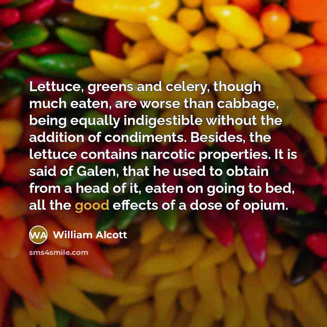 “Lettuce, greens and celery, though much eaten, are worse than cabbage, being equally indigestible without the addition of condiments. Besides, the lettuce contains narcotic properties. It is said of Galen, that he used to obtain from a head of it, eaten on going to bed, all the good effects of a…” quote by William Alcott
