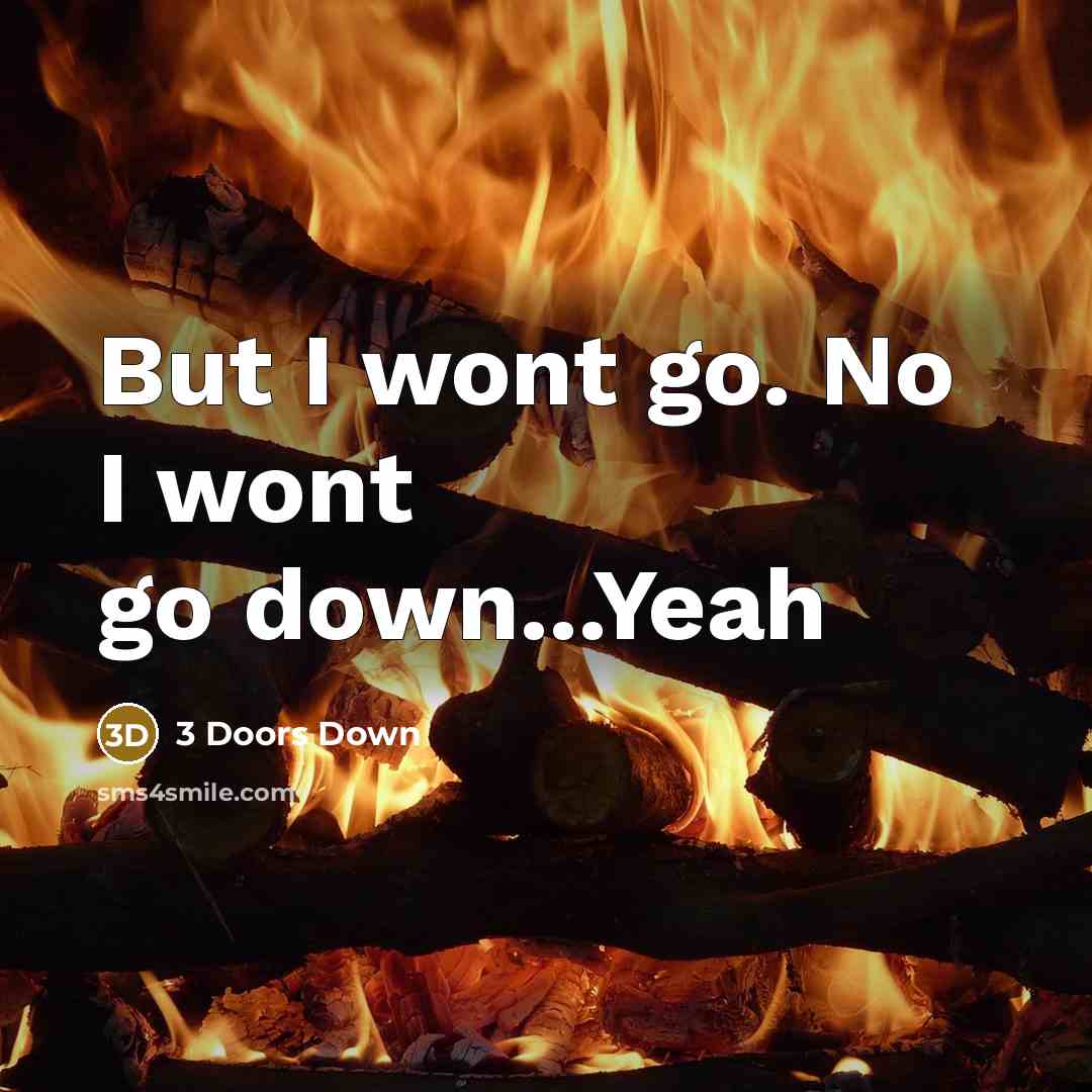 “But I wont go. No I wont go down...Yeah” quote by 3 Doors Down