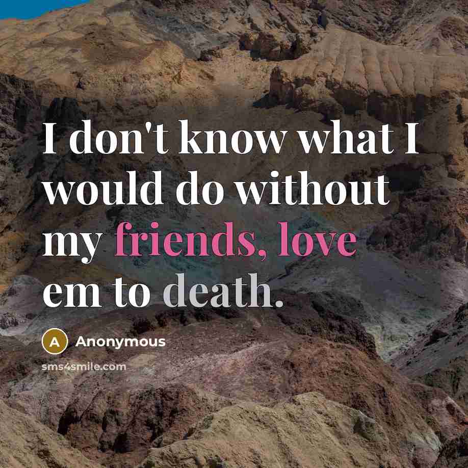 “I don't know what I would do without my friends, love em to death.” quote by Anonymous