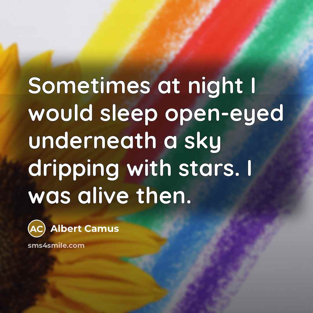 “Sometimes at night I would sleep open-eyed underneath a sky dripping with stars. I was alive then.” quote by Albert Camus