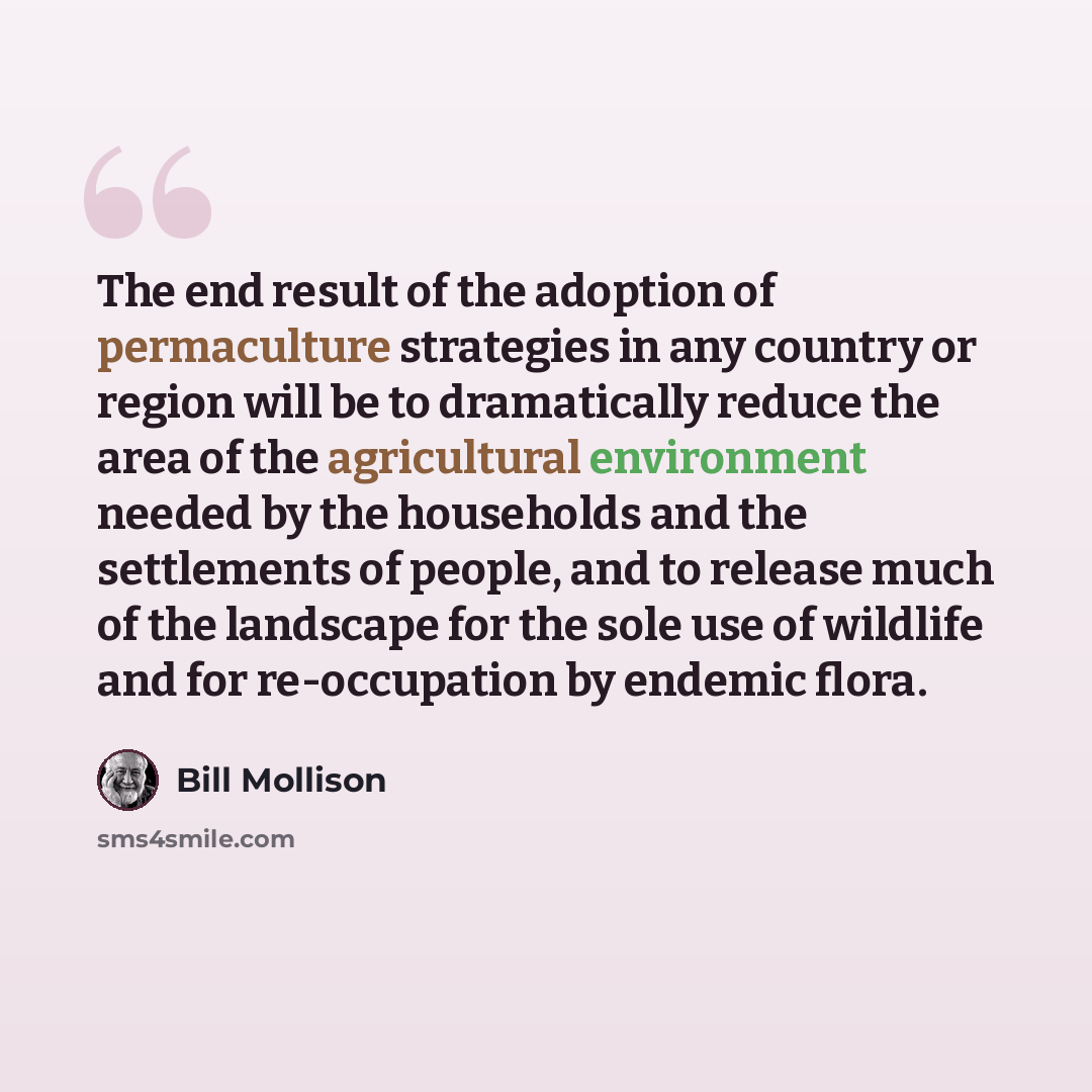 “The end result of the adoption of permaculture strategies in any country or region will be to dramatically reduce the area of the agricultural environment needed by the households and the settlements of people, and to release much of the landscape for the sole use of wildlife and for re-occupation…” quote by Bill Mollison