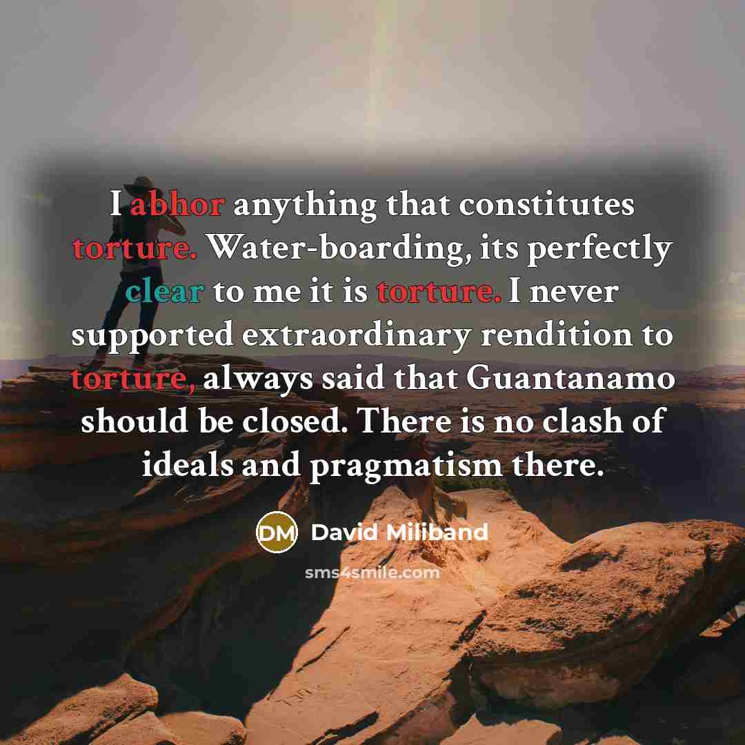 “I abhor anything that constitutes torture. Water-boarding, its perfectly clear to me it is torture. I never supported extraordinary rendition to torture, always said that Guantanamo should be closed. There is no clash of ideals and pragmatism there.” quote by David Miliband