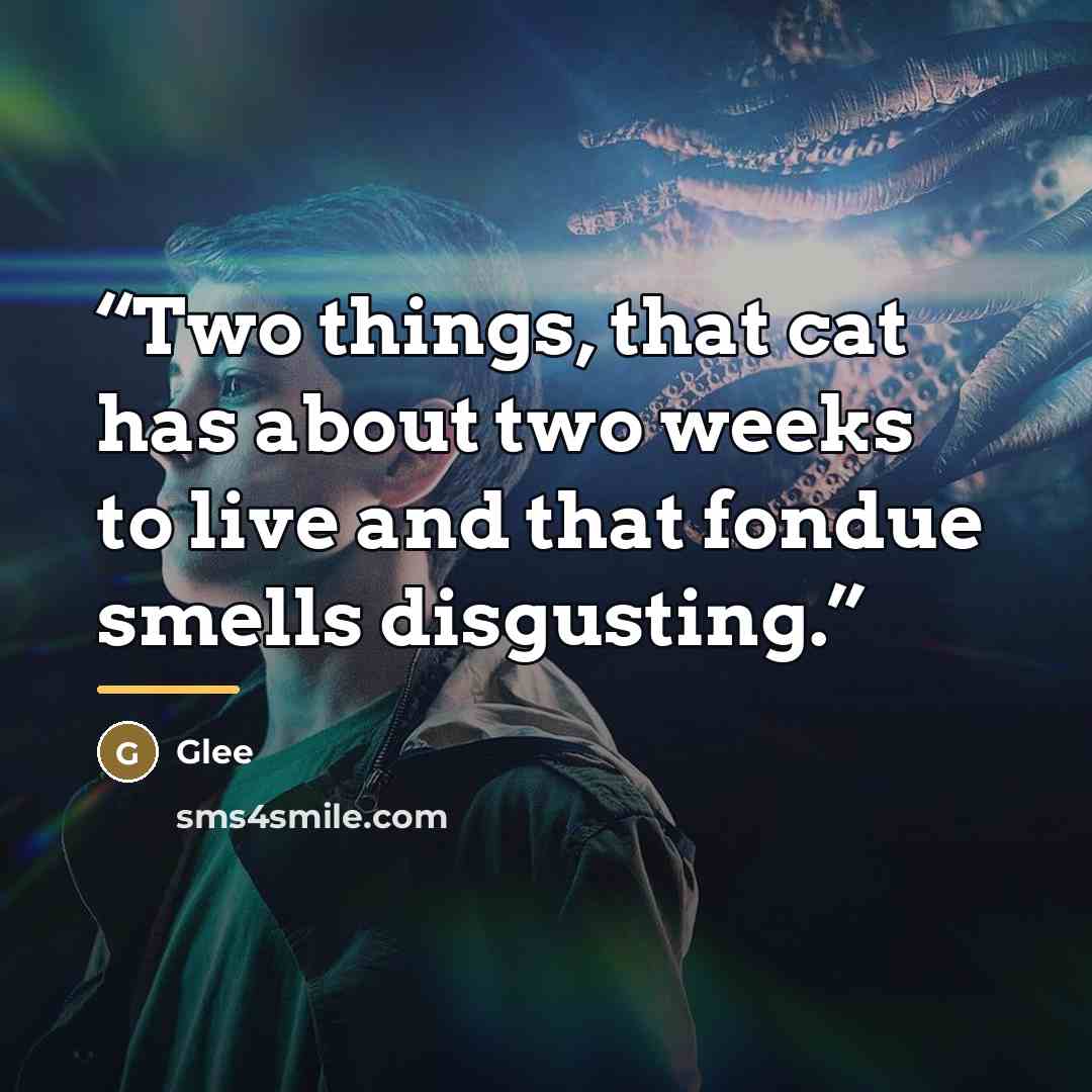 “Two things, that cat has about two weeks to live and that fondue smells disgusting.” quote by Glee