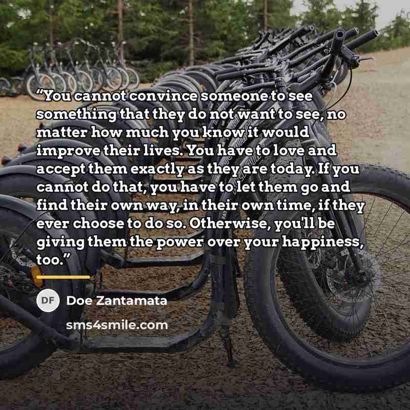 “You cannot convince someone to see something that they do not want to see, no matter how much you know it would improve their lives. You have to love and accept them exactly as they are today. If you cannot do that, you have to let them go and find their own way, in their own time, if they ever…” quote by Doe Zantamata