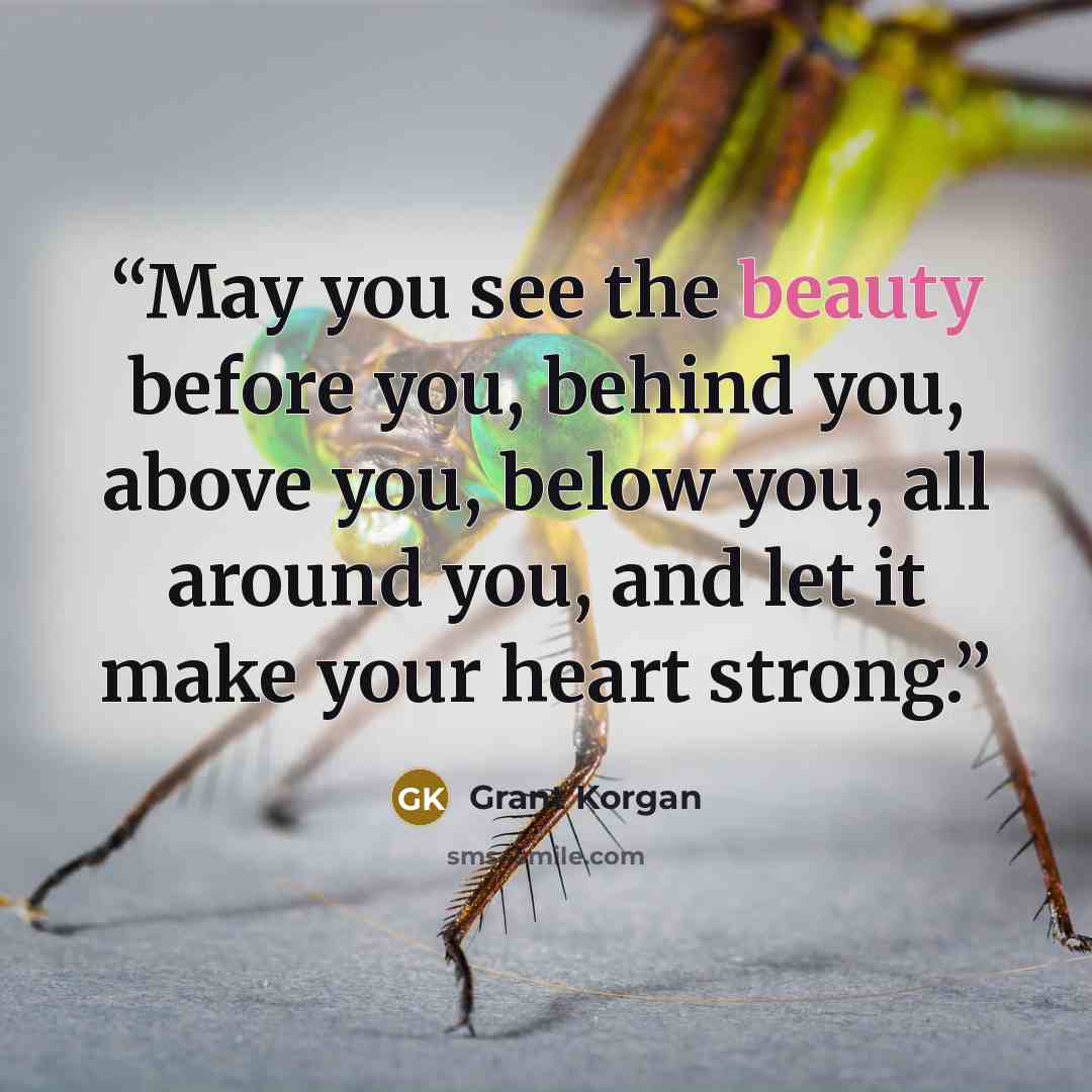 “May you see the beauty before you, behind you, above you, below you, all around you, and let it make your heart strong.” quote by Grant Korgan