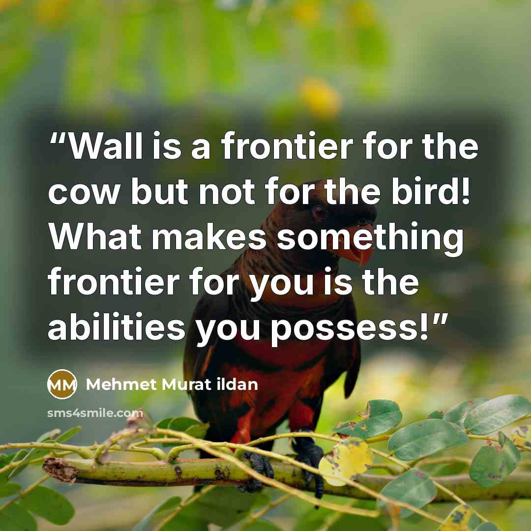 “Wall is a frontier for the cow but not for the bird! What makes something frontier for you is the abilities you possess!” quote by Mehmet Murat ildan