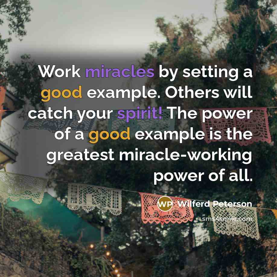 “Work miracles by setting a good example. Others will catch your spirit! The power of a good example is the greatest miracle-working power of all.” quote by Wilferd Peterson