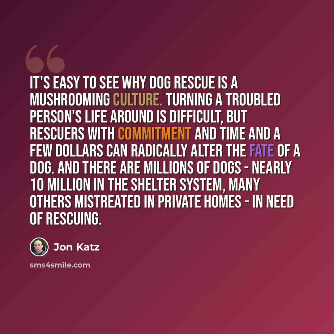 “It's easy to see why dog rescue is a mushrooming culture. Turning a troubled person's life around is difficult, but rescuers with commitment and time and a few dollars can radically alter the fate of a dog. And there are millions of dogs - nearly 10 million in the shelter system, many others…” quote by Jon Katz