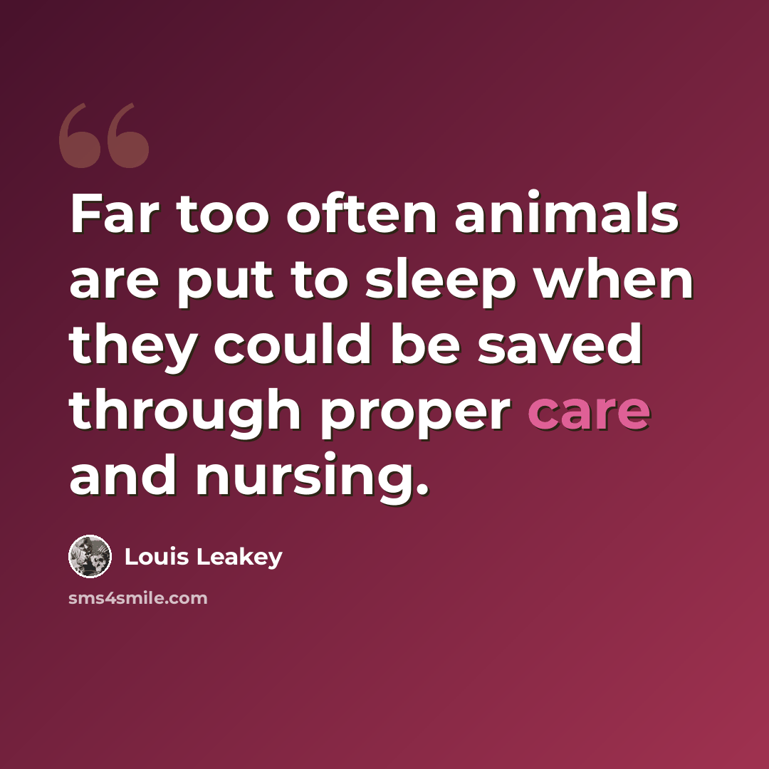“Far too often animals are put to sleep when they could be saved through proper care and nursing.” quote by Louis Leakey