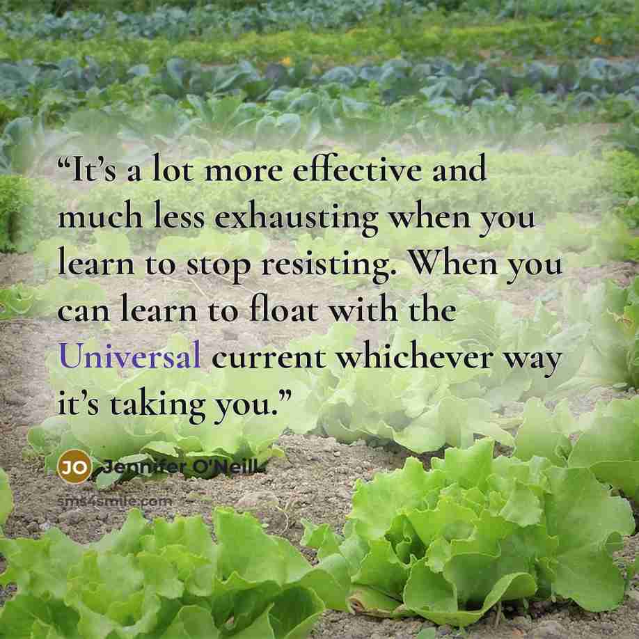 “It’s a lot more effective and much less exhausting when you learn to stop resisting. When you can learn to float with the Universal current whichever way it’s taking you.” quote by Jennifer O'Neill
