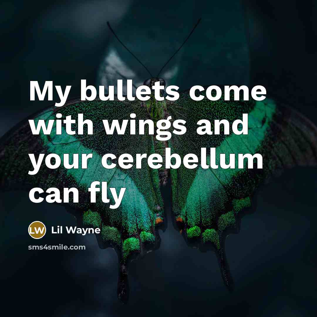 “My bullets come with wings and your cerebellum can fly” quote by Lil Wayne