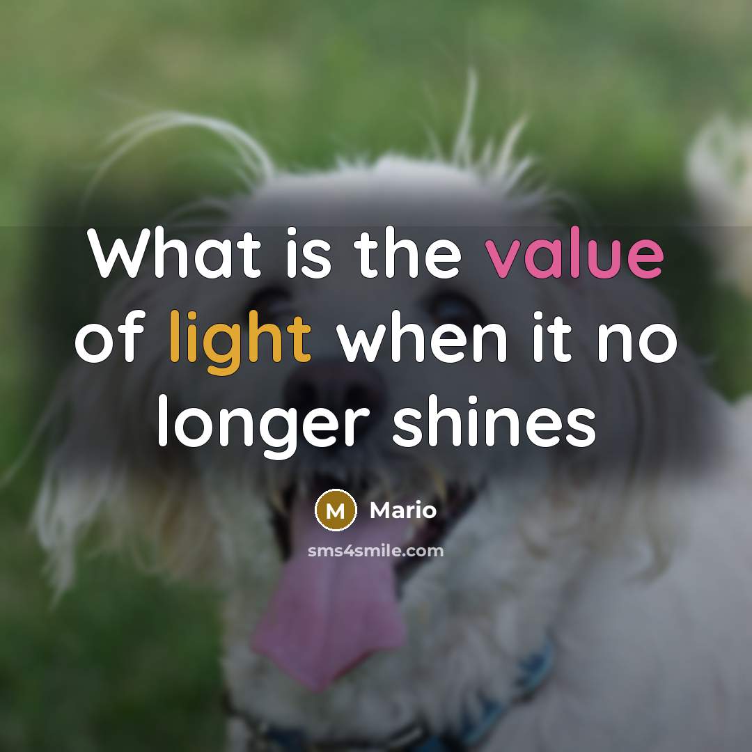 “What is the value of light when it no longer shines” quote by Mario