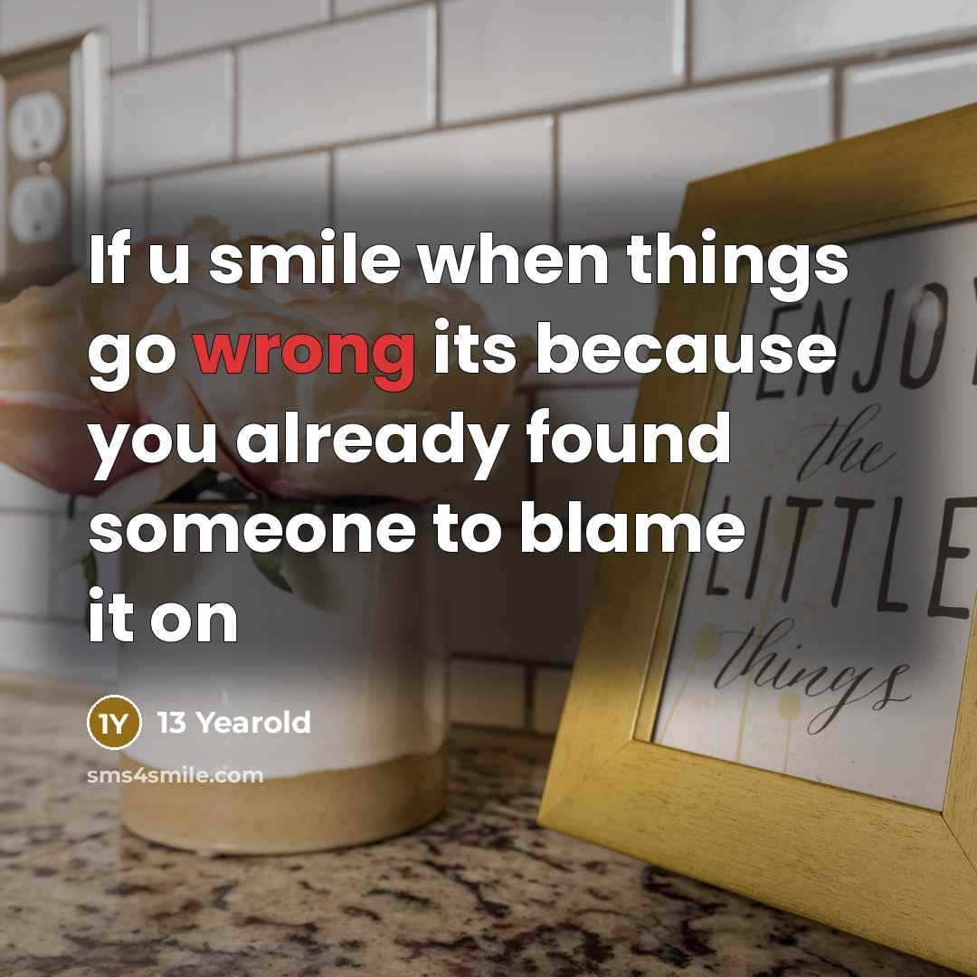 “If u smile when things go wrong its because you already found someone to blame it on” quote by 13 Yearold