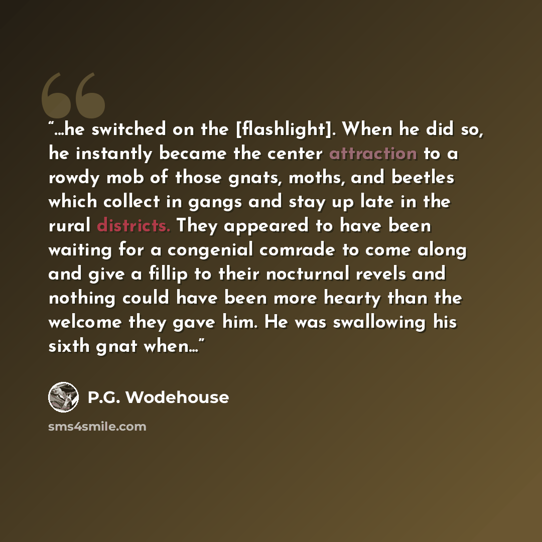 “...he switched on the [flashlight]. When he did so, he instantly became the center attraction to a rowdy mob of those gnats, moths, and beetles which collect in gangs and stay up late in the rural districts. They appeared to have been waiting for a congenial comrade to come along and give a fillip…” quote by P.G. Wodehouse